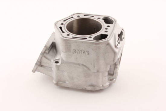 Bilde av BYTTESYLINDER ROTAX MXZ 800 01-02