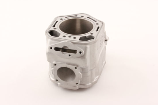 Bilde av BYTTESYLINDER ROTAX MXZ 800 01-02