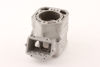 Bilde av BYTTESYLINDER ROTAX MXZ SUMMIT 800 01-04 