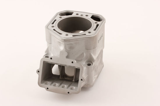 Bilde av BYTTESYLINDER ROTAX MXZ RAVE 800 2003 (S420923811)