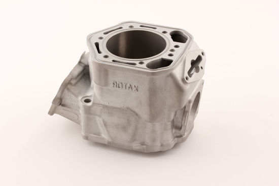 Bilde av BYTTESYLINDER ROTAX MXZ RAVE 800 2003 (S420923811)