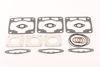 Bilde av TopEnd Gskt Kit Polaris 800 XCR '99-03