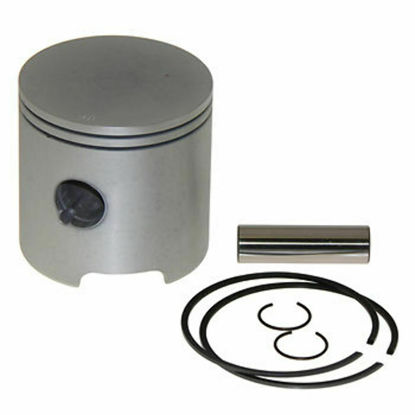 Bilde av Mercury 15/20 HP  MercASIL   2579CD