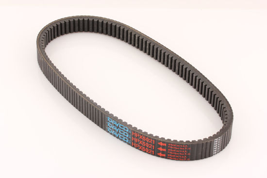 Bilde av VARIATOR REIM