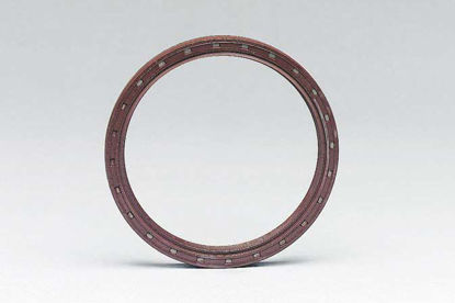 Bilde av RADIAL SEAL