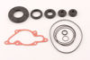 Bilde av Bottom End Gskt Kit Ski-Doo 454/670/809