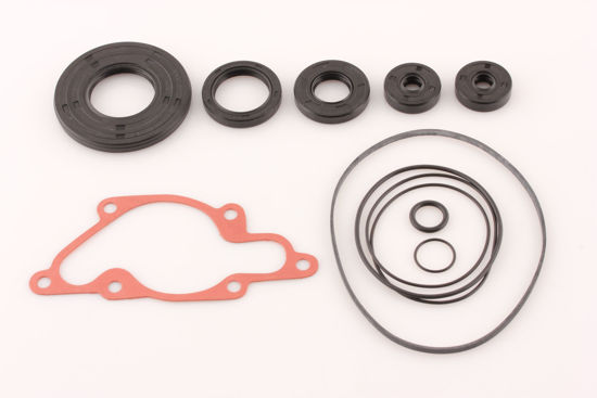 Bilde av Bottom End Gskt Kit Ski-Doo 454/670/809