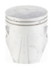 Bilde av ProX Piston Kit NH90 -GW3- (48.00mm)