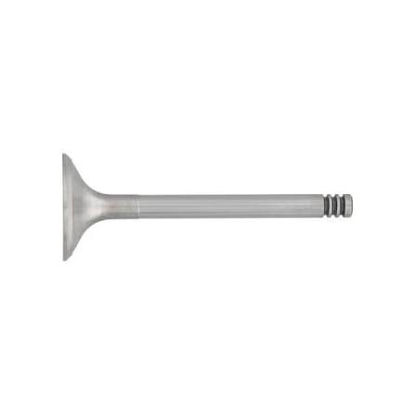 Bilde av INLET VALVE (2) VW