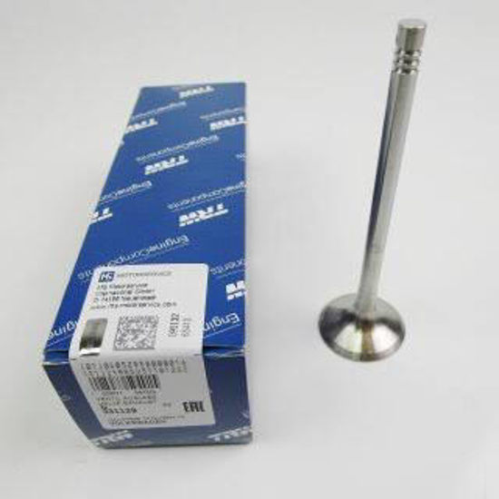 Bilde av INLET VALVE (2) VW