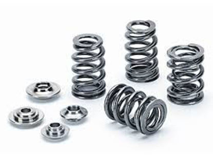 Bilde av Supertech Valve Spring Kit Ford 1.6L EcoBoost