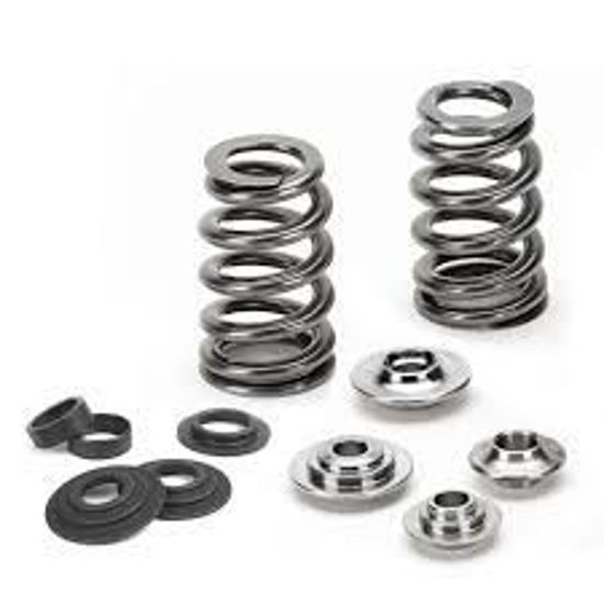 Bilde av Supertech Valve Spring Kit Ford/Mazda Duratec/MZR