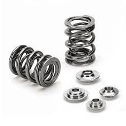 Bilde av Supertech Valve Spring Kit Honda D16/D17
