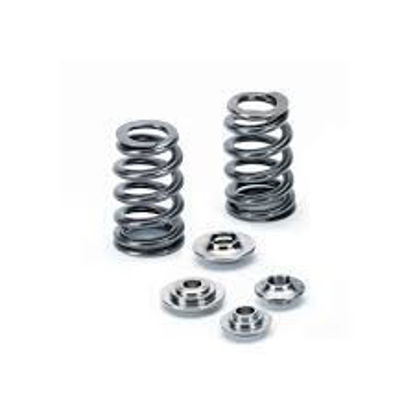 Bilde av Supertech Valve Spring Kit BMW/Mini/PSA N13/14/18 EP6