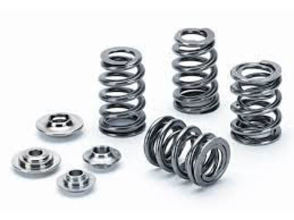 Bilde av Supertech Valve Spring Kit Renault F4R 730/830