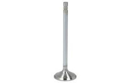 Bilde av INLET VALVE (2) VOLVO/ FORD